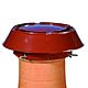 Colt Cowl All Purpose Chimney Colt Top
