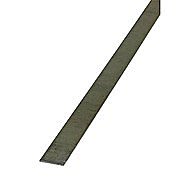 Flat Drawn Steel 10 x 2mm 1 Metre Length