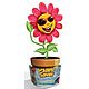 Holiday Plant Saver Medium 3 Pack 