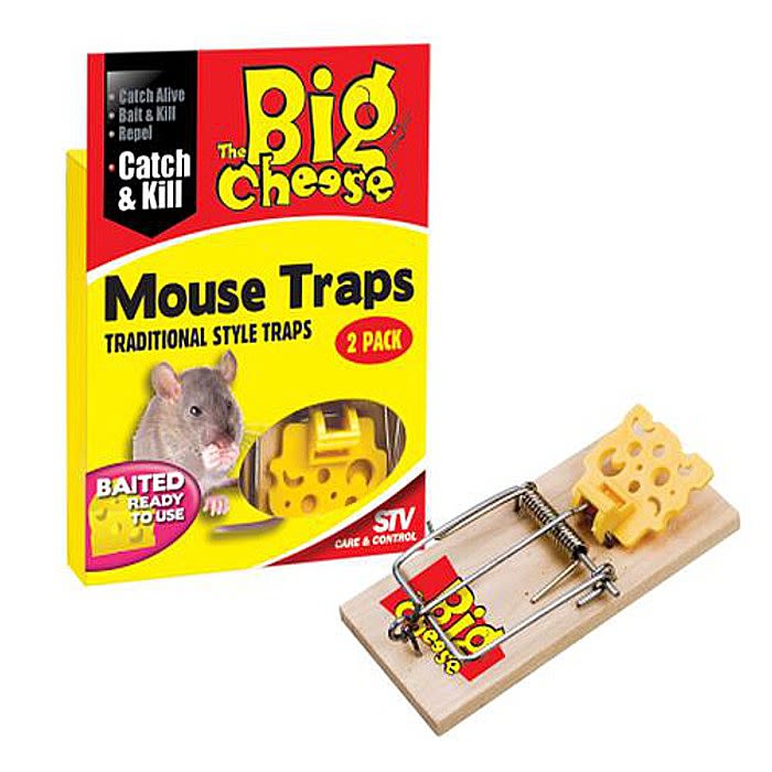 big mouse trap