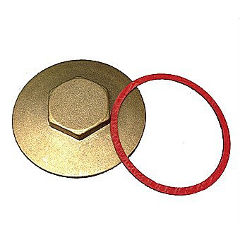 Immersion Heater Plug with Washer 2 1/4 Inch