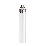 Fusion T5 Fluorescent Tube Cool White 28 Watt 1149mm