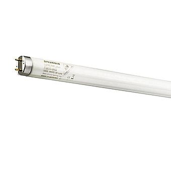 Sylvania Luxline Plus 16 Wat T8 Fluorescent Tube 720mm