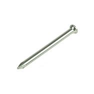 Rawlplug RAW04002 2.5 x 25mm. Masonry Nail