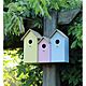 Natures Market BFNEST2 3 in 1 Nest Box