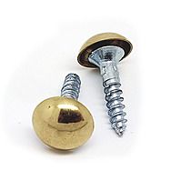 Brass 8 x 3/4 Slotted Dome Screw | Single Screw