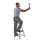 Werner High Handrail 2 Tread Stepladder