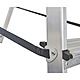 Werner 6 Tread High Handrail Stepladder