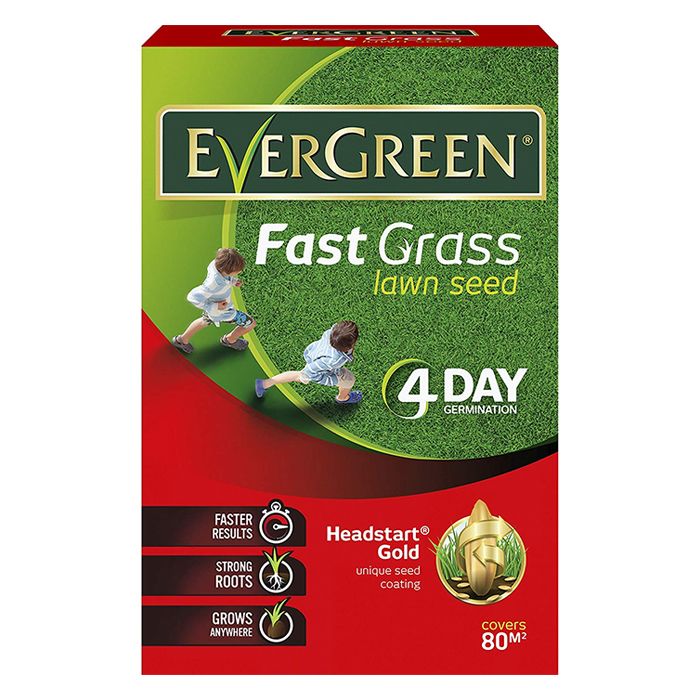 Evergreen Headstart Gold Fast Acting Grass Seeds Ray Grahams DIY Store