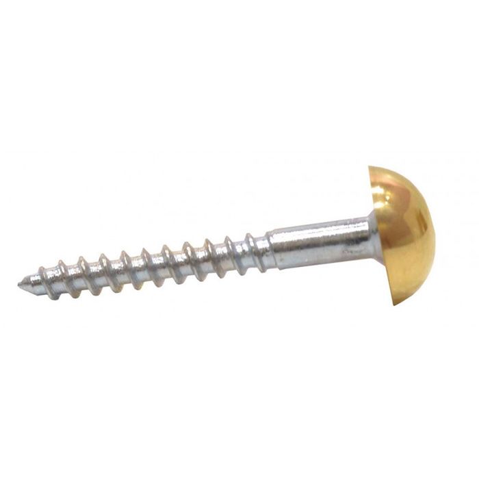 38mm x 8 EB Dome Mirror Screws Ray Grahams DIY Store