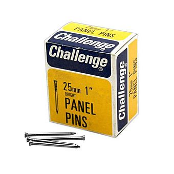 Challenge 25mm Bright Panel Pins 50g Box