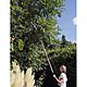 Draper 45334 Expert Tree Pruner With Telescopic Handle