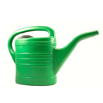 10 Litre Green Watering Can With Rose