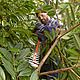 Black &amp; Decker BEHTS501 60cm Hedge Trimmer 600W