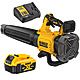 DeWalt DCMBL562P1 18V XR Axial Blower &amp; 5.0Ah Battery