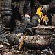 DeWalt DCS389N 54V FlexVolt High Power Reciprocating Saw Body Only