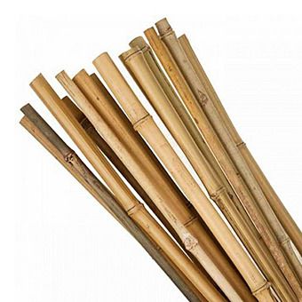 Picture of Kingfisher Bamboo Plant Support Canes