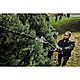 DeWalt DCMASPH6N Pole Hedge Trimmer Attachment For DCMAS