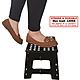 Streetwize Plastic Foldable Step Stool