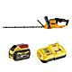 DeWalt DCMHT573X1 54V FlexVolt 65cm Hedge Trimmer 9.0Ah Battery