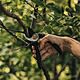 Fiskars Solid Bypass Pruner Secateurs M P321