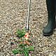 Parasene Gas Weed Wand Butane/Propane Torch