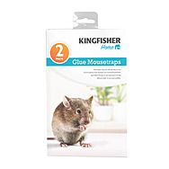 Kingfisher Glue Mousetraps