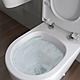 Cilantro Rimless Comfort Height WC And Soft Close Seat