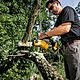 DeWalt DCMPS520P1 18V XR 20cm Pruning Chain Saw with 5.0Ah Battery