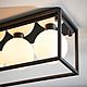 Globe Box Frame Ceiling Light