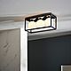 Globe Box Frame Ceiling Light