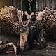 Fiskars X25 XL Splitting Axe
