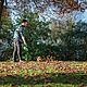 Draper 70526 D20 20V Leaf Blower &amp; 2.0Ah Battery