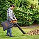 Black and Decker BEBLV260 230V Leaf Blower and Vacuum 2600W