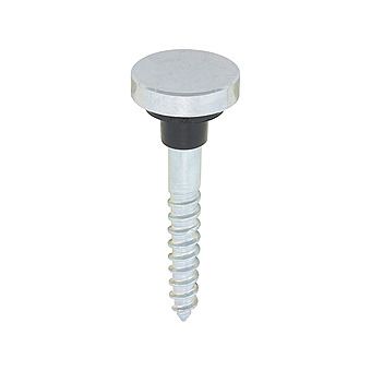 Timco Flat Chrome Mirror Screws 10 Pack