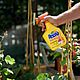 Resolva Bug Killer Spray 200ml