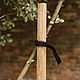 Gardman Round Tree Stake 1.2m x 35mm