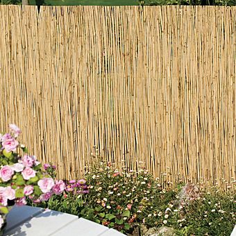 Ambassador Reed Screening 4m x 1m