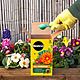 Miracle-Gro All Purpose Soluble Plant Food 1Kg