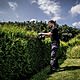 Metabo HS 18 LTX 65 18V Cordless 65cm Hedge Trimmer Body Only