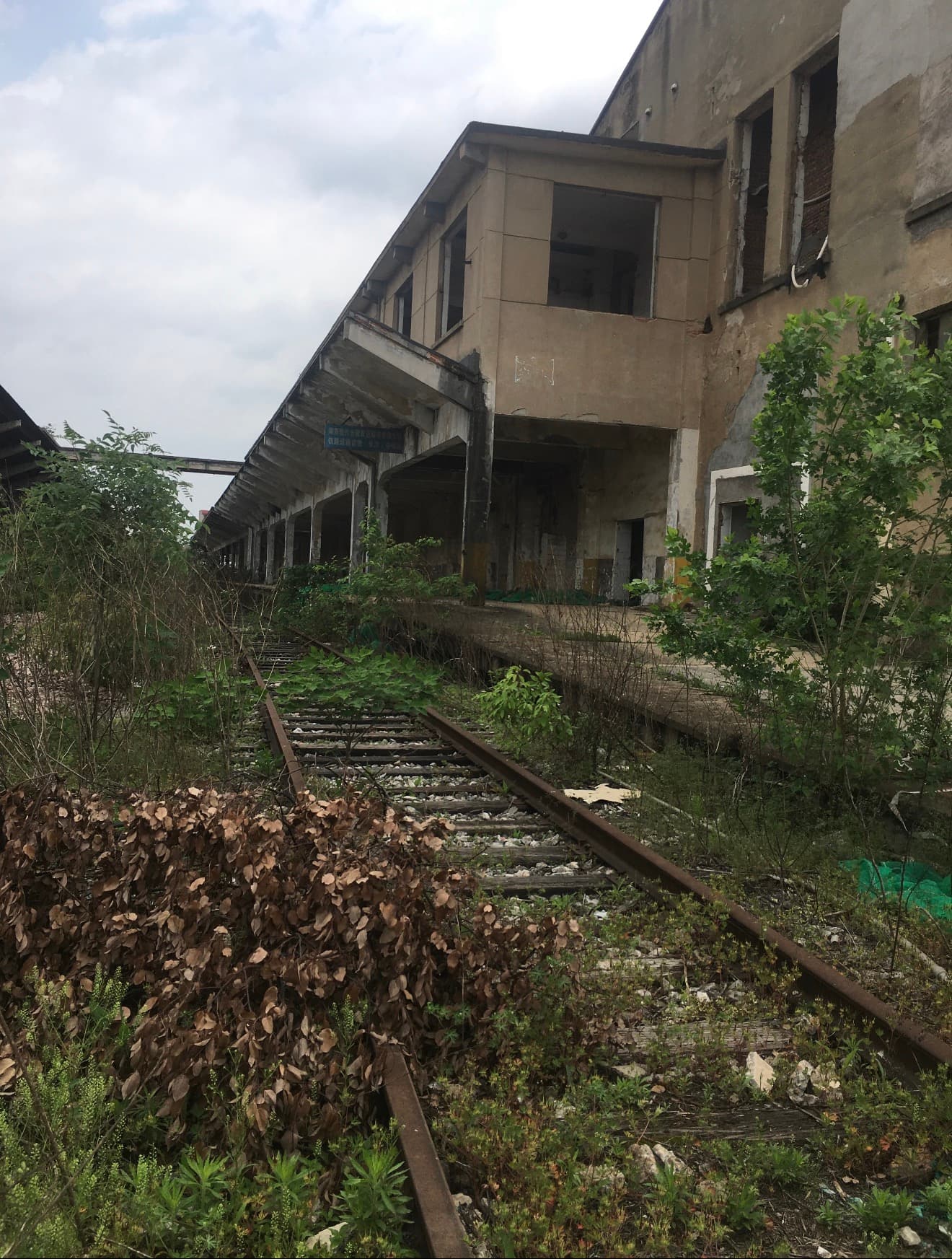 Overgrown railway tracks at Heishipu