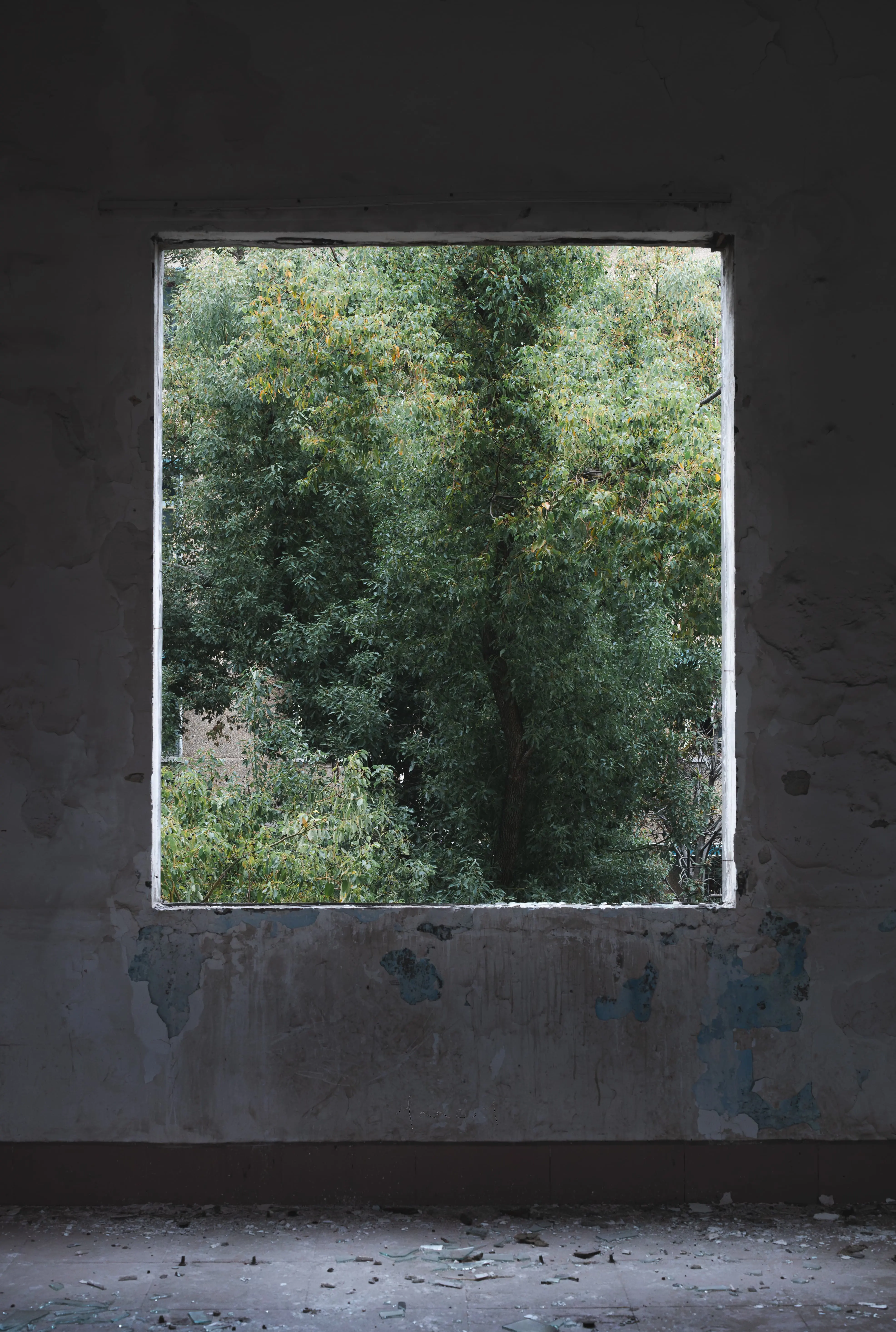 Ruins of HN P Art School — architectural study