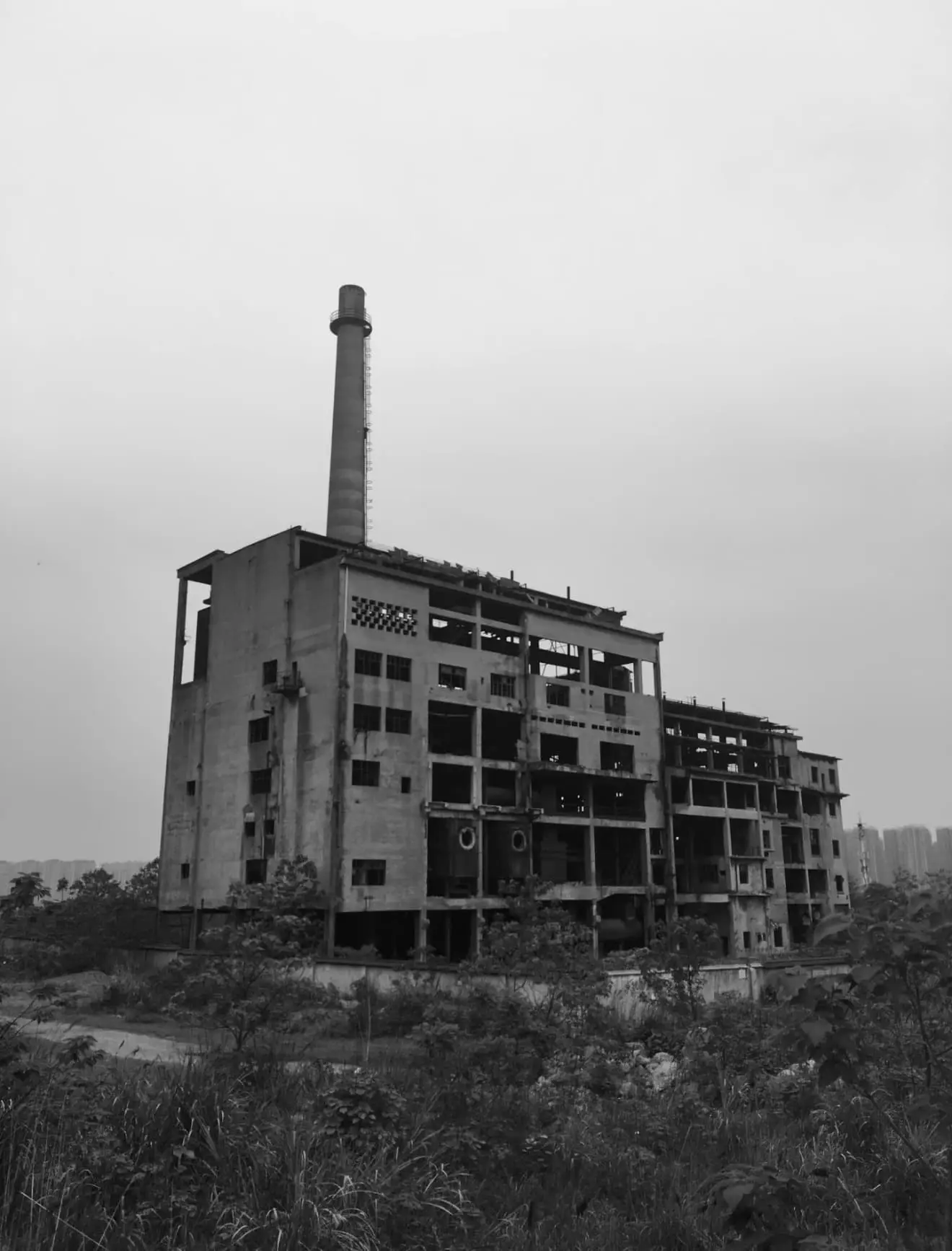 CS ZiCHang — supplied photo 5