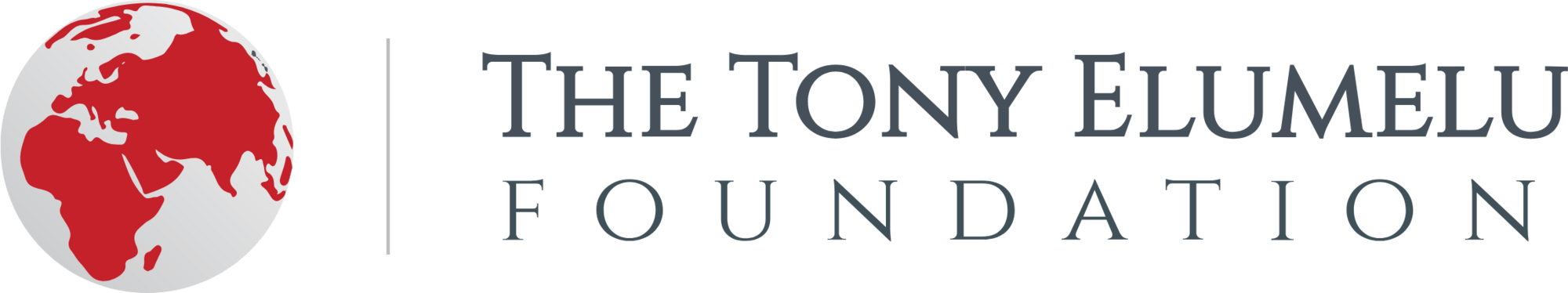 Tony Elumelu Foundation logo