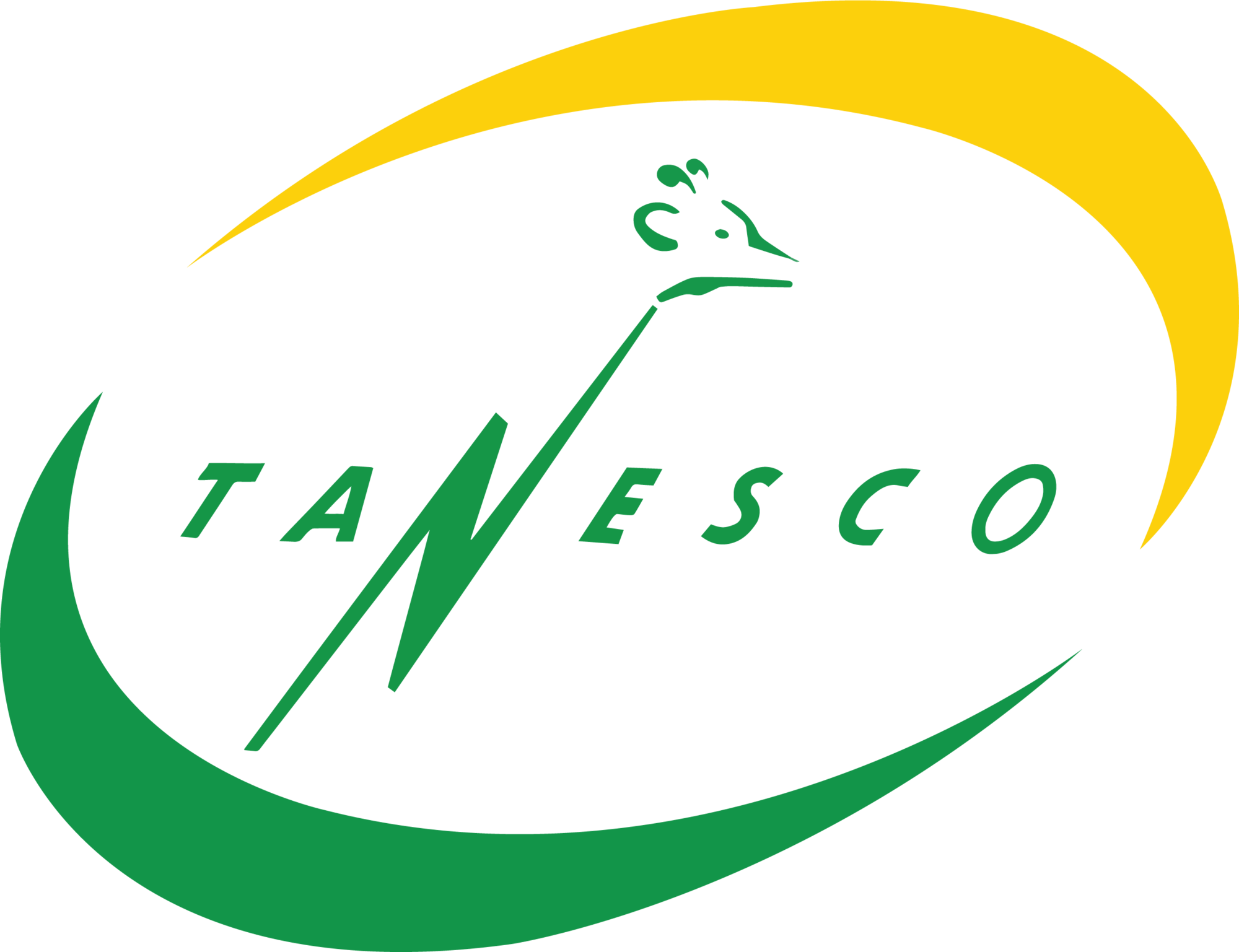 TANESCO Tanzania Electric Supply Company Limited logo