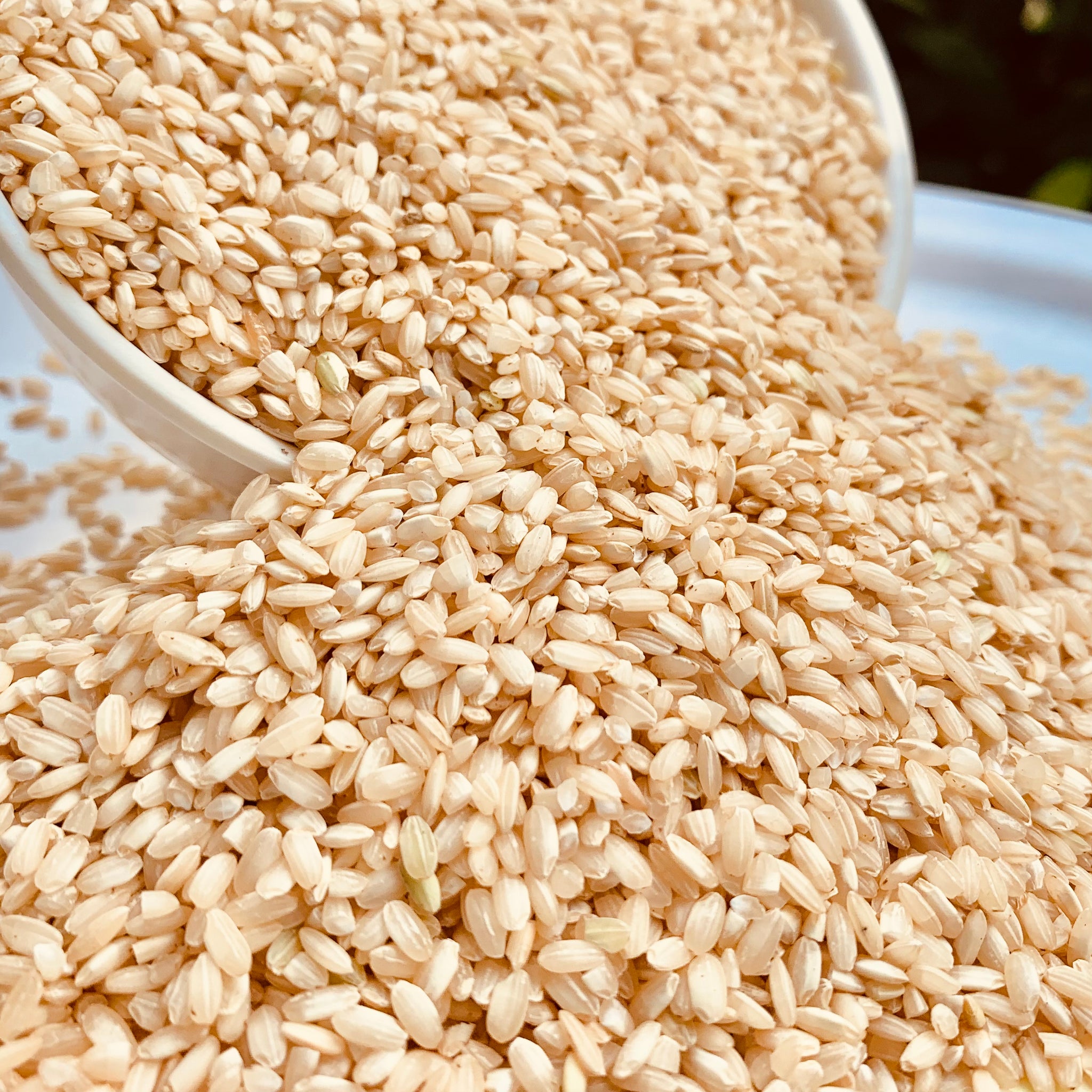 Bahurupi Single Polished Rice