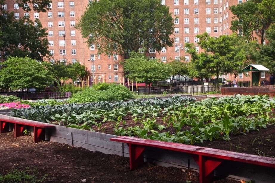 Red Hook, N.Y.: A Farming Town With a Welcoming Community - The New York  Times