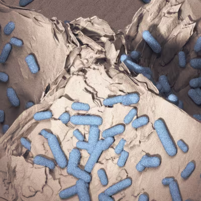 Ceramic Material Close Up with Bacteria