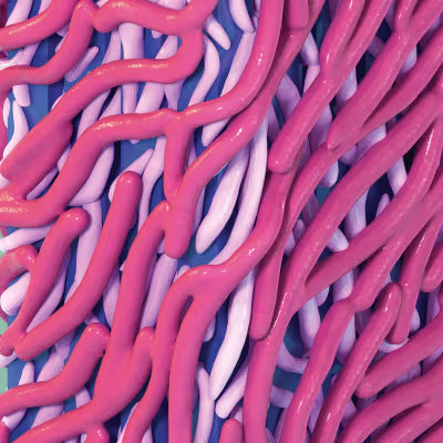Cellulose Microfibril Close Up
