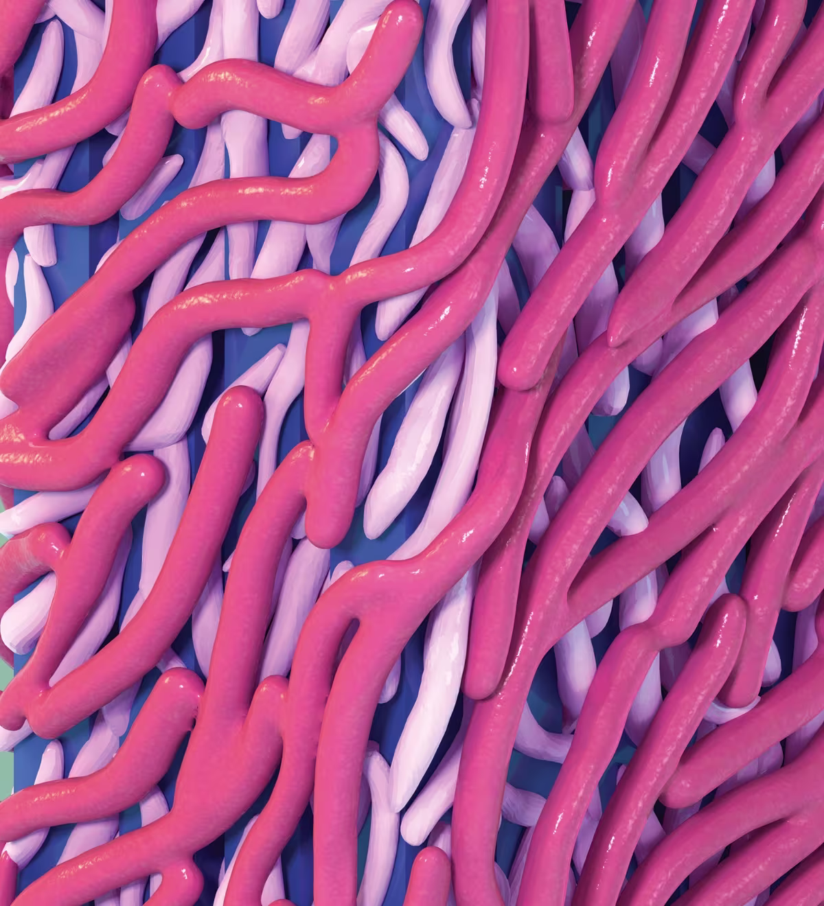Cellulose Microfibril Close Up